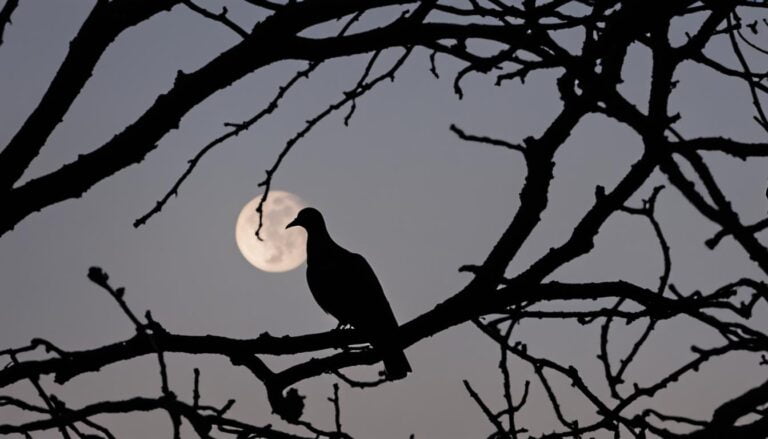 Do Doves Coo at Night? Unveiling the Mysteries of Dove Behavior